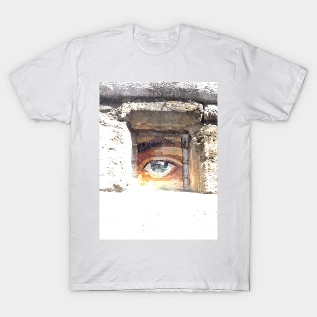 Big Brother is watching you T-Shirt by stevepaint